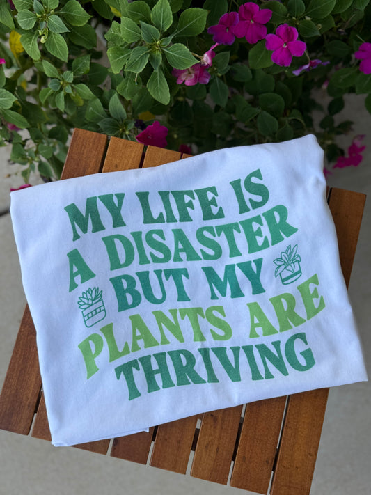 My life is a disaster