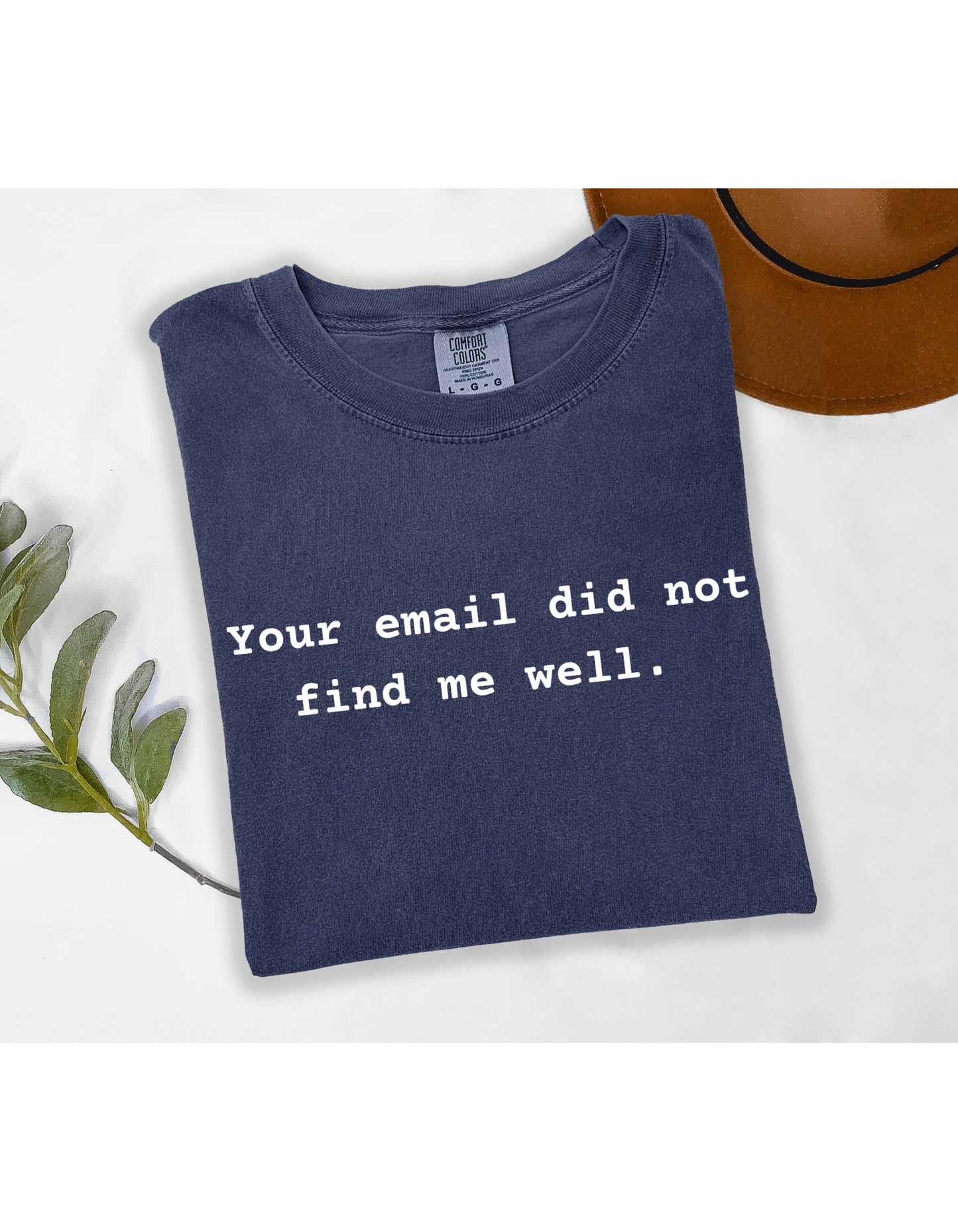 Your Email Did Not Find Me Well