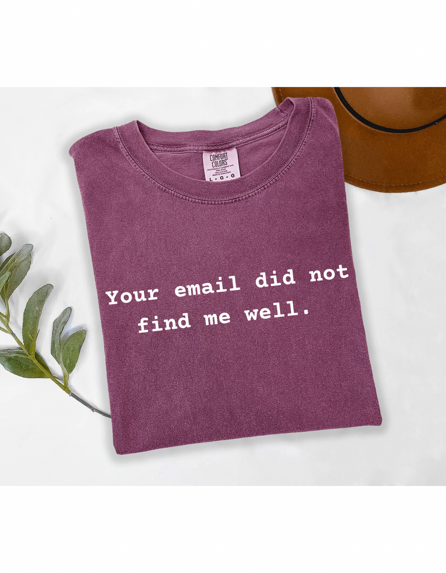 Your Email Did Not Find Me Well