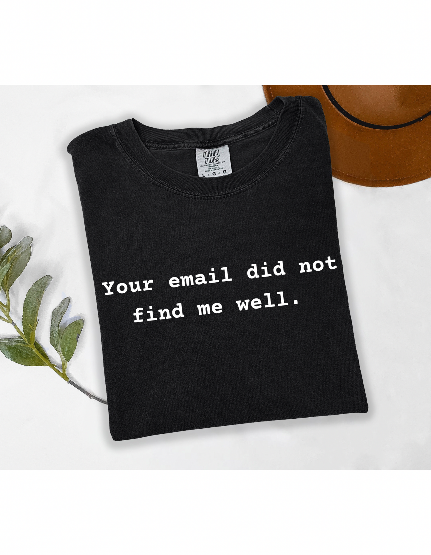 Your Email Did Not Find Me Well